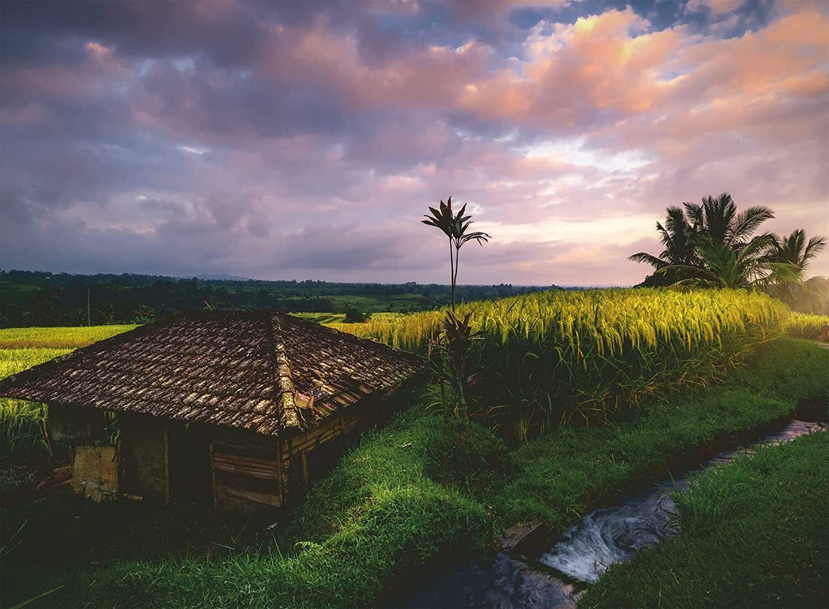 Ravensburger - Nature Edition No 22: Bali Rice Fields 500 Piece Puzzle