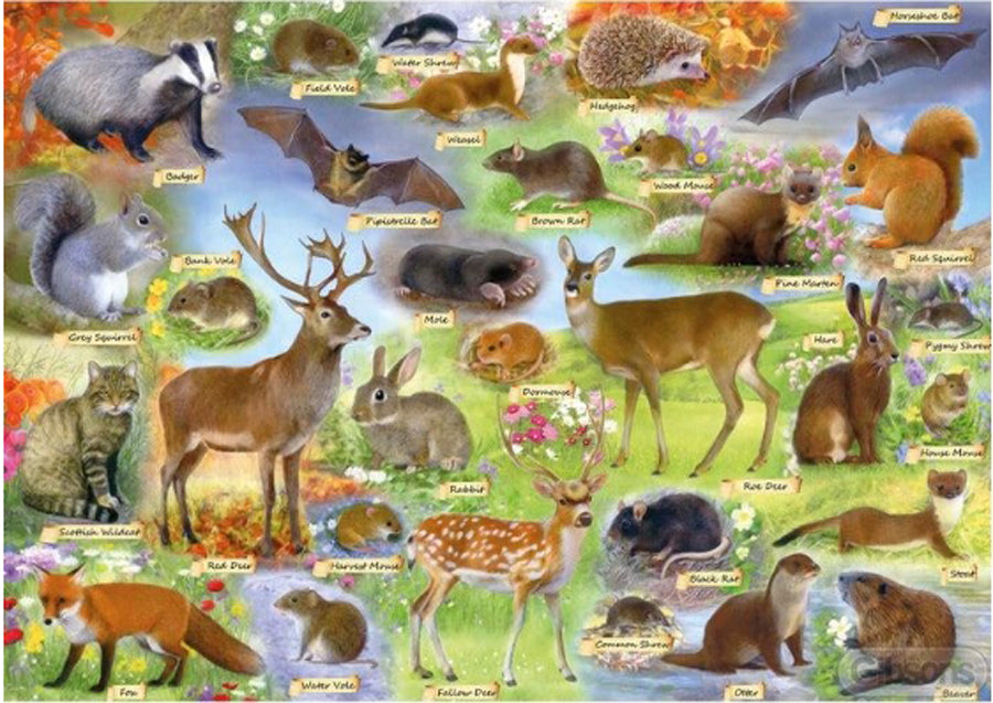 Gibsons - British Wildlife 500 Piece Jigsaw Puzzle