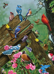 Cobble Hill - Birds of the Forest 1000 Piece Jigsaw Puzzle