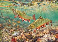 Cobble Hill - Brook Trout 1000 Piece Jigsaw Puzzle