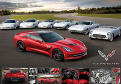 Eurographics - Corvette 2014 Stringray 1000 Piece Jigsaw Puzzle