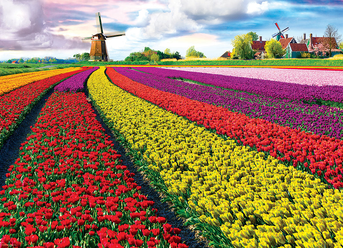 Jumbo - Field of Tulips 1000 Piece Jigsaw Puzzle