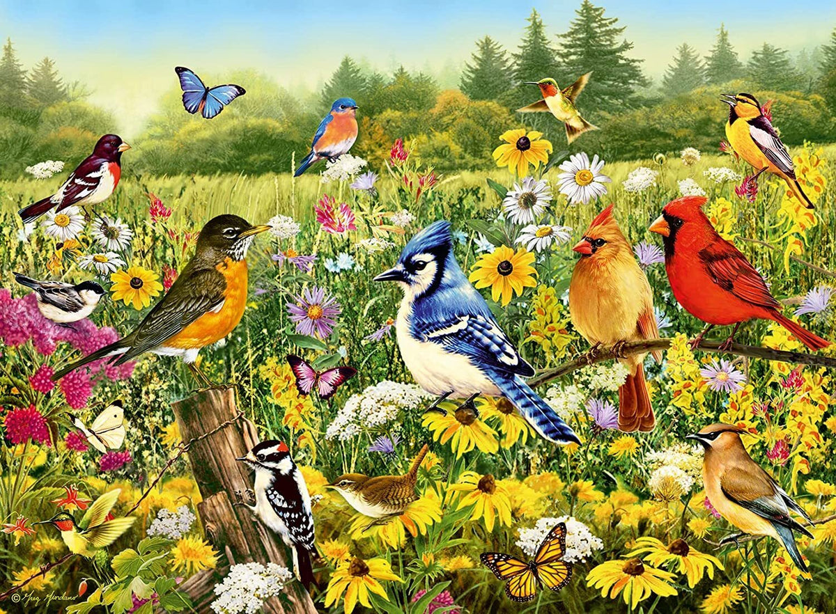 Ravensburger - Birds in the Meadow 500 Piece Family Jigsaw Puzzle