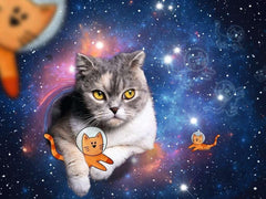 Ravensburger - Cats in Space 1500 Adult's Jigsaw Puzzle