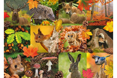 Jumbo - Autumn Animals 1000 Piece Adult's Jigsaw Puzzle