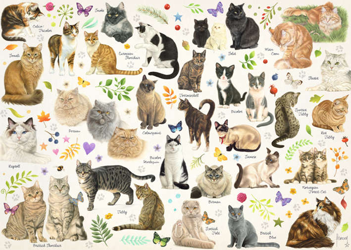 Jumbo - Francien van Westering: Cats Poster 1000 Piece Jigsaw Puzzle