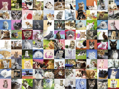 99 Cats Puzzle 1500pc