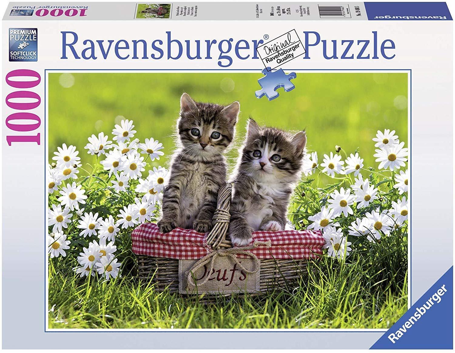 Ravensburger - Picnic in the Meadow 1000 Piece Adult's Jigsaw Puzzle