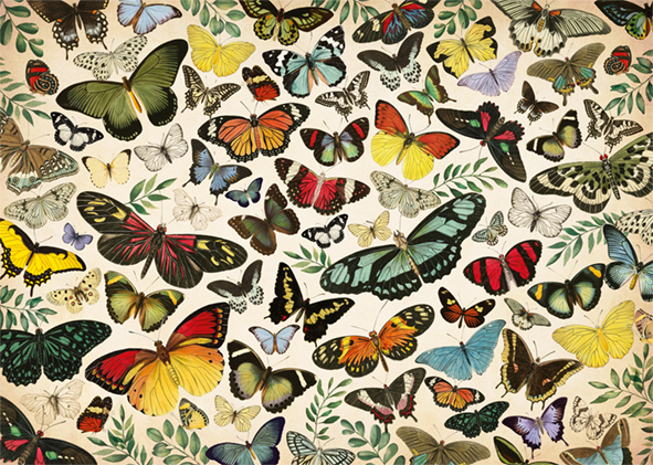 Jumbo - Butterfly Poster 1000 Piece Jigsaw Puzzle