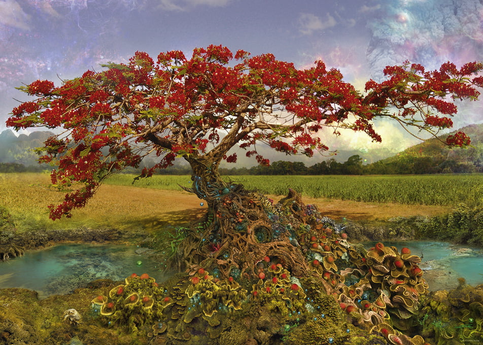 HEYE - Enigma Trees Strontium 1000 Piece Jigsaw Puzzle