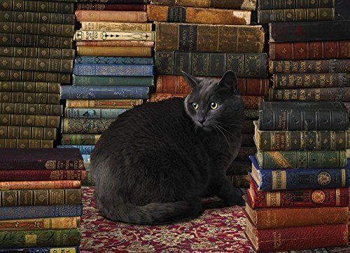 Cobble Hill - Library Cat 1000 Piece Jigsaw Puzzle