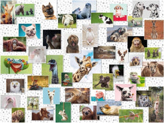 Ravensburger - Funny Animals 1500 Piece Adult's Jigsaw Puzzle