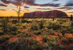 Funbox - Uluru Sunset 1000 Piece Adult's Jigsaw Puzzle